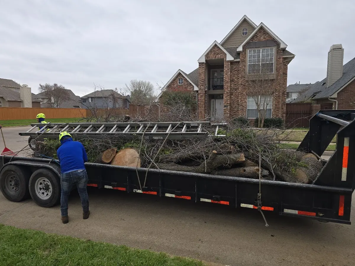 Expert Lot Clearing with proper safety equipment in Cortez